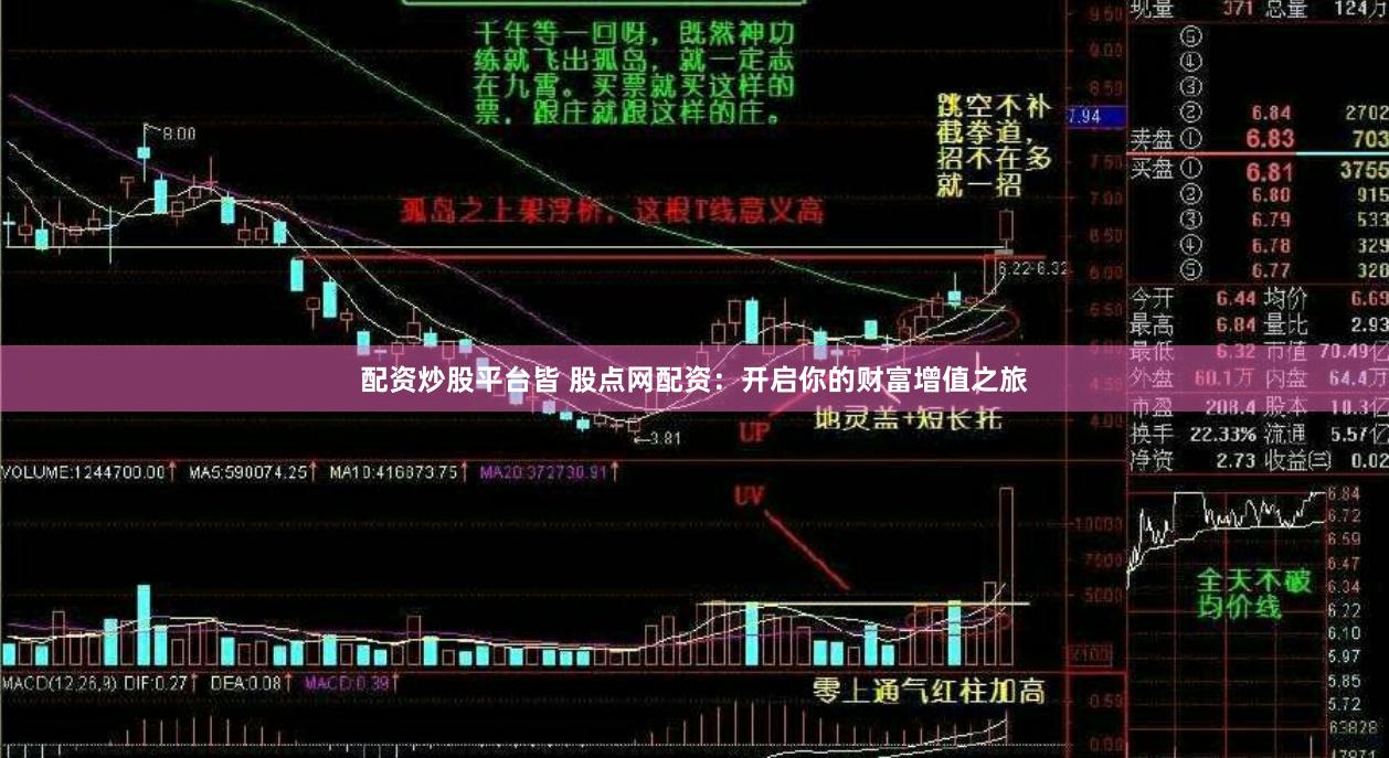 配资炒股平台皆 股点网配资：开启你的财富增值之旅