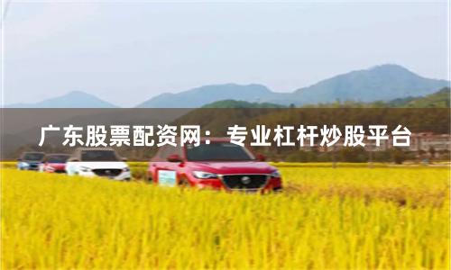 广东股票配资网：专业杠杆炒股平台
