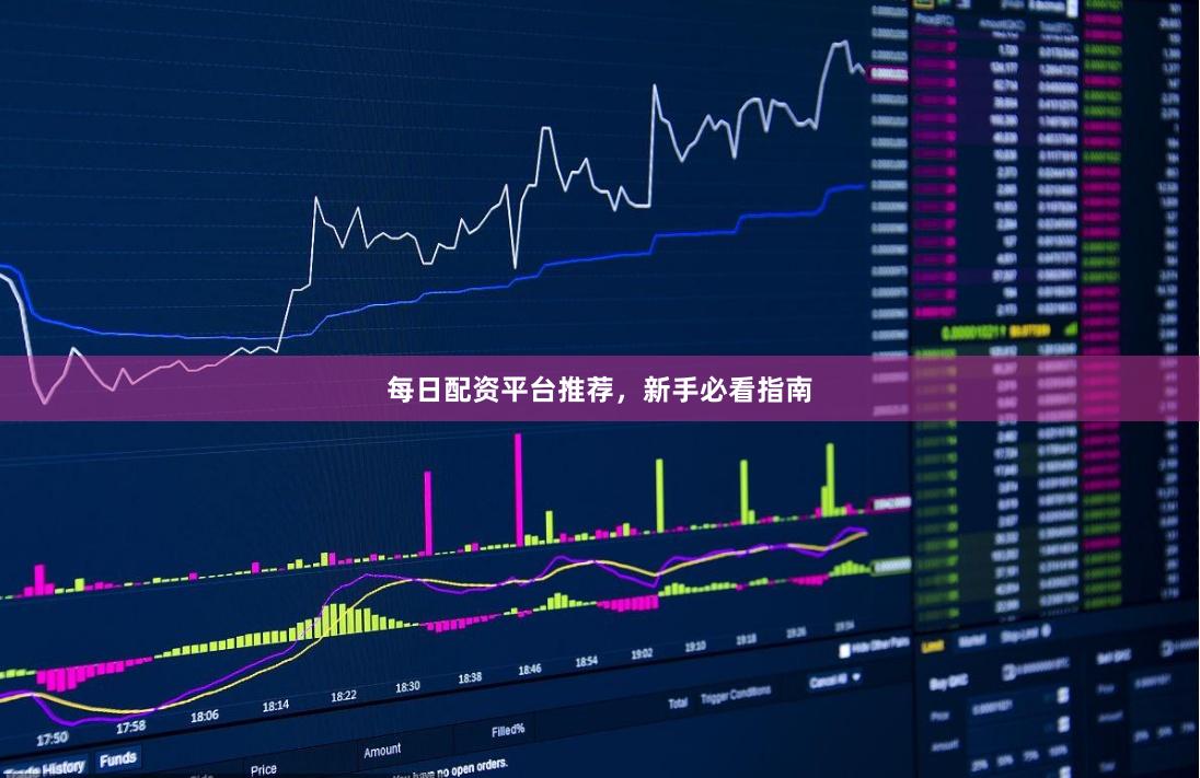 每日配资平台推荐，新手必看指南